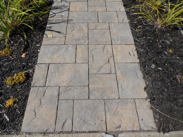 Stamped Concrete Staining in Paso Robles