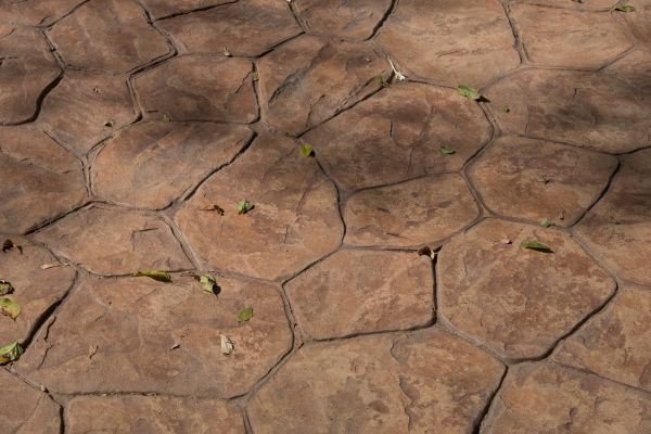 Concrete Texturing in Paso Robles